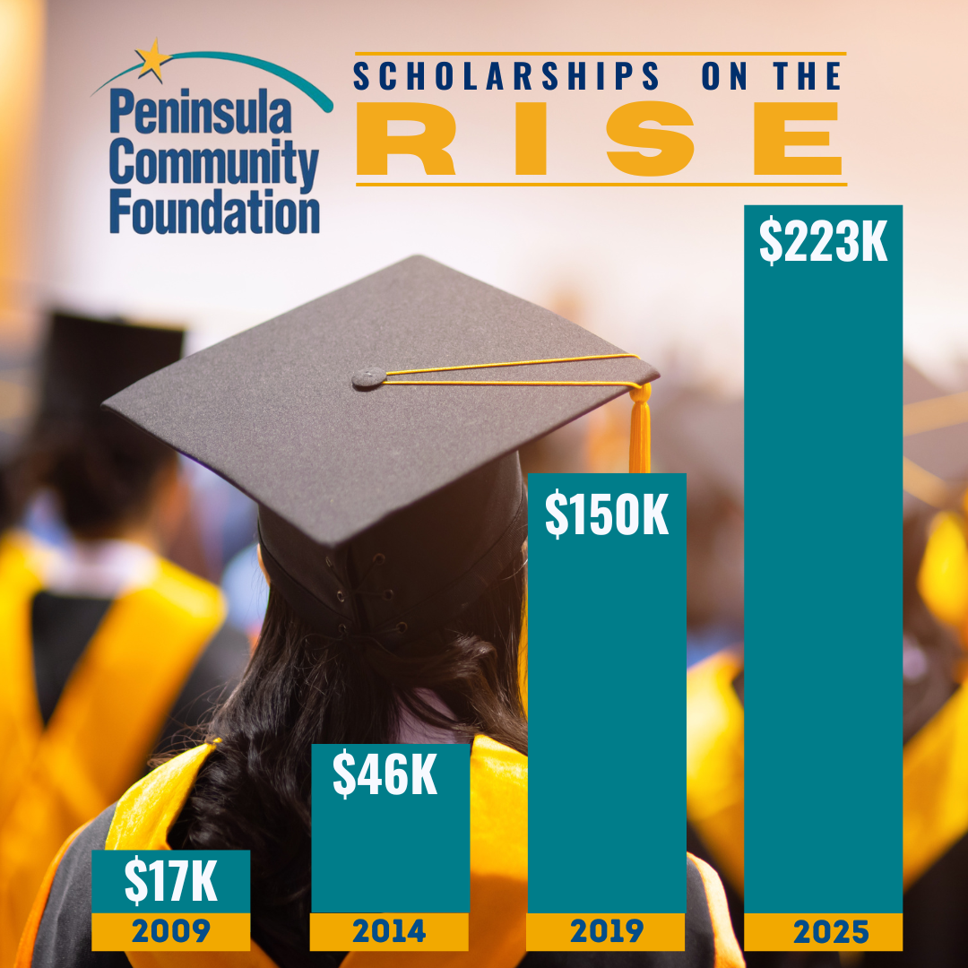 A chart detailing the scholarships granted. A chart detailing the scholarships granted.