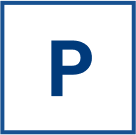 p-icon